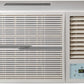 LLOYD Window AC 1.0 Ton 3 Star Non-Inverter (GLW12C3XWSEW)